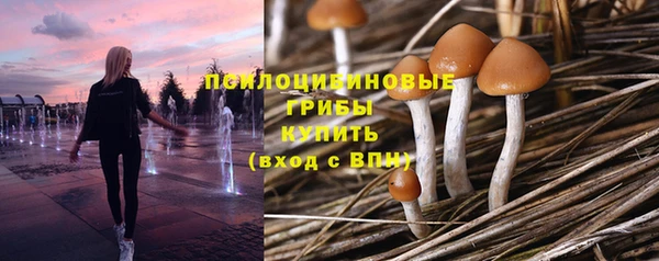 гашиш Белокуриха