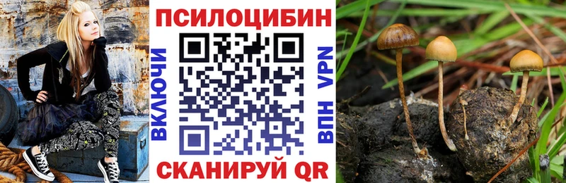 Псилоцибиновые грибы Cubensis  цена наркотик  Галич 